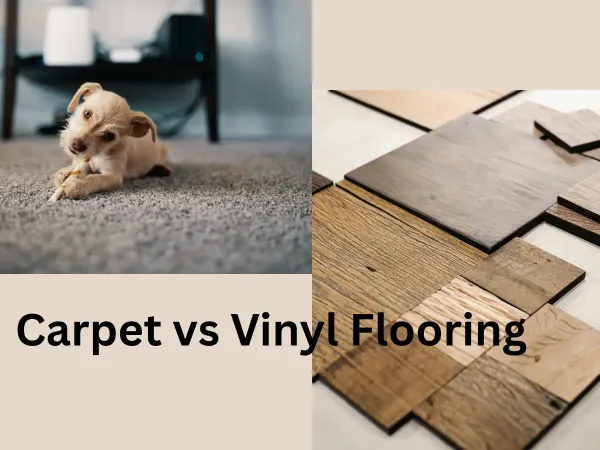 An Overview of Carpet vs Vinyl Flooring
